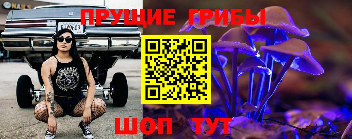 Псилоцибиновые грибы Psilocybe Верхняя Пышма
