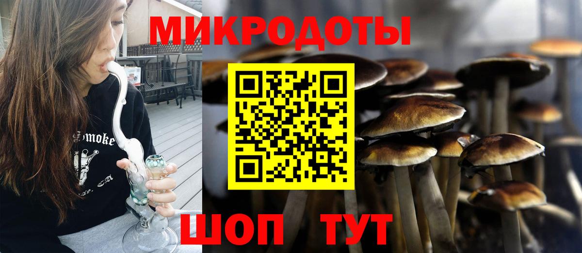 Верхняя Пышма  Псилоцибиновые грибы прущие грибы  Галлюциногенные грибы Magic Shrooms  Вход с VPN 